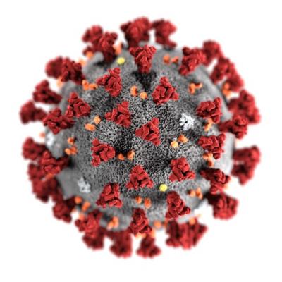 Sytuacja epidemiologiczna na terenie powiatu żyrardowskiego, stan na dzień 25.03.2020 r.