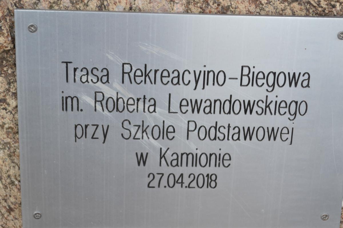 XXI Mazowieckie Igrzyska Młodzieży Szkolnej w Indywidualnych Biegach Przełajowych – Kamion 2019