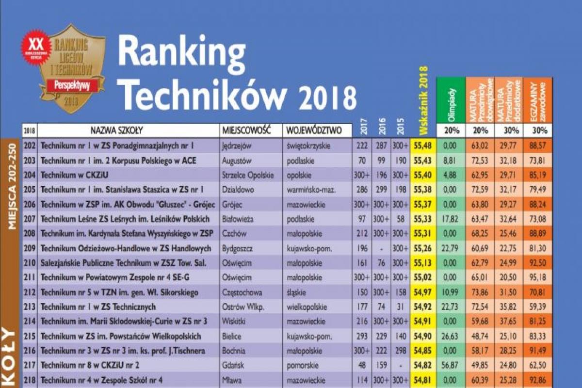 Brąz dla Technikum z Wiskitek!