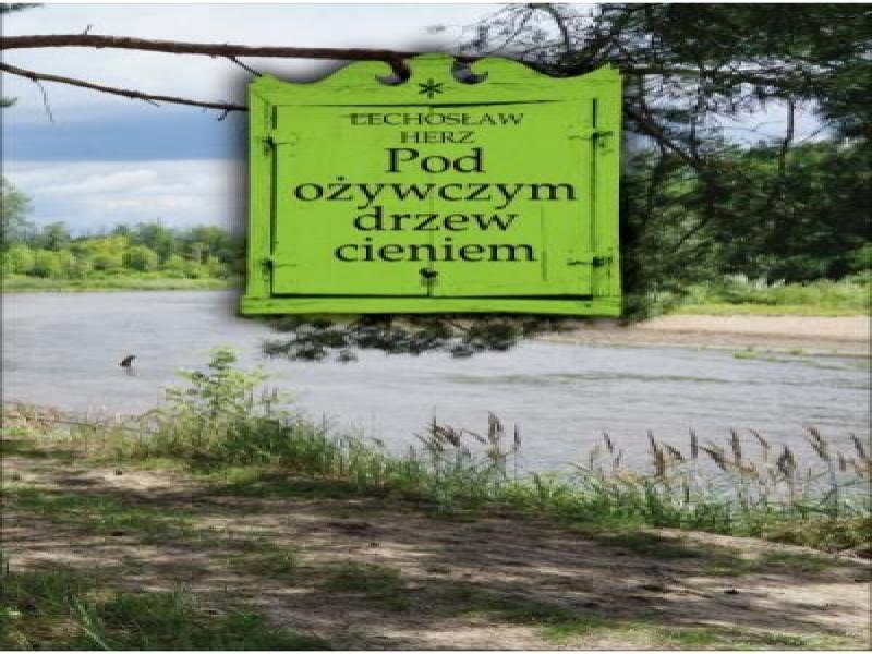 Organizatorzy konkursów krasomówczych zapraszają "złotoustych"